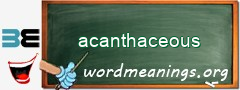 WordMeaning blackboard for acanthaceous